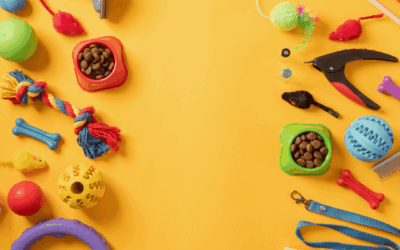 Como Aumentar as Vendas do Seu Petshop com Produtos de Giro Rápido