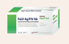 FELV AG/FIV AB