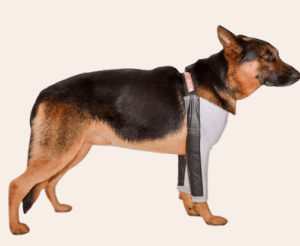 PROTETOR HIGROMA COTOVELEIRA PARA CÃES