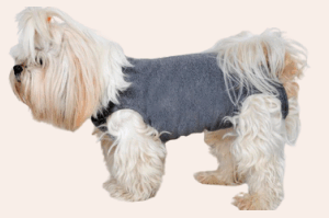 Roupa Pós-Cirúrgica Dry Fit Unissex para Cães
