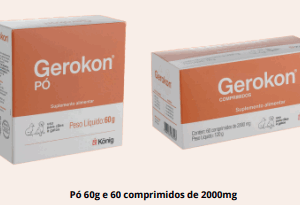 Gerokon