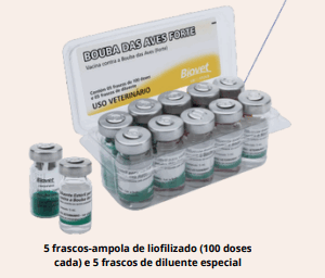 Bouba das Aves (Forte)