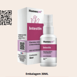 Intestin