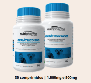 GERIÁTRICO